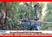 Koramil 1403-01/Larompong Laksanakan Karya Bakti, Kamaluddin: Penyiapan Pengairan Persawahan